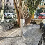 Il Giardino Di Elettra - Freeparking