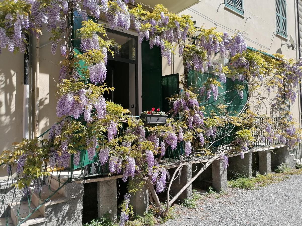 Il Giardino Di Elettra - Freeparking 2* Genoa